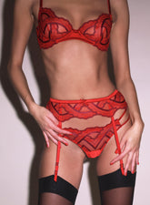 Embroidered Lace Garter Belt Sheer Tulle Romance