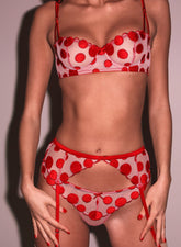 Polka Dot Garter Belt Sheer Mesh Back
