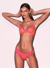 Sheer Tulle Bikini Set Chic and Cheeky