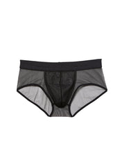 Sheer Tulle Briefs Gentle Contour Lift