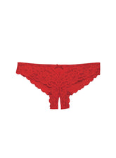 Lace Cheeky Panty with Satin Peekaboo Panel