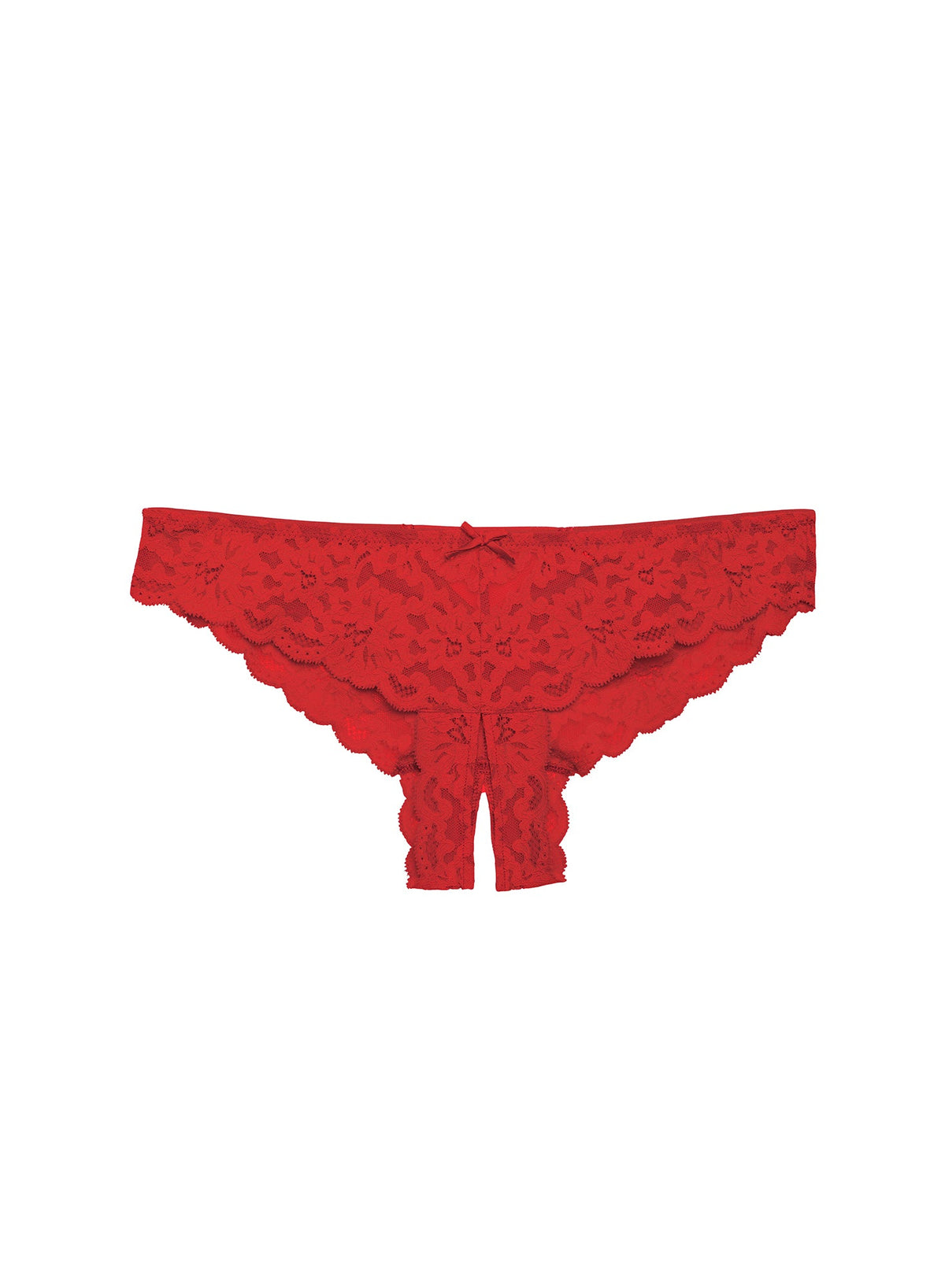 Lace Cheeky Panty with Satin Peekaboo Panel